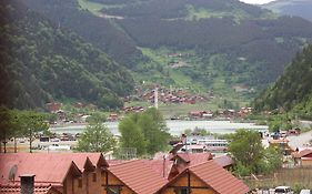 My Home Uzungöl